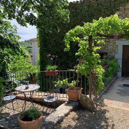 Le Fleuriste Villa Saint-Sauveur-de-Cruzieres Ngoại thất bức ảnh