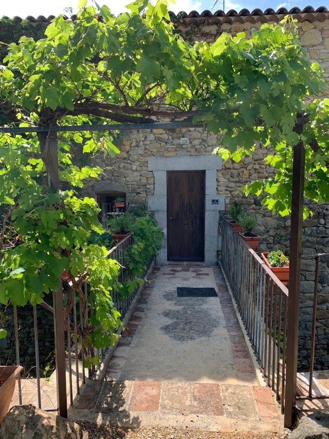 Le Fleuriste Villa Saint-Sauveur-de-Cruzieres Ngoại thất bức ảnh